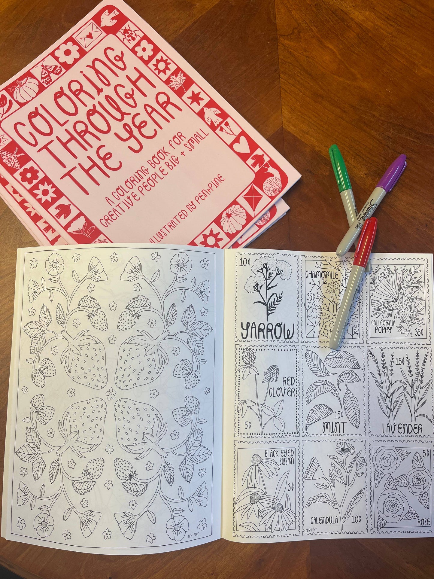Coloring Through the Year Coloring Book- Pen+Pine