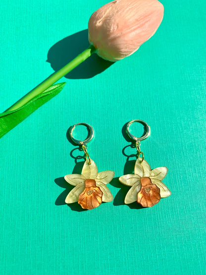 Mini Daffodils - Not Picasso