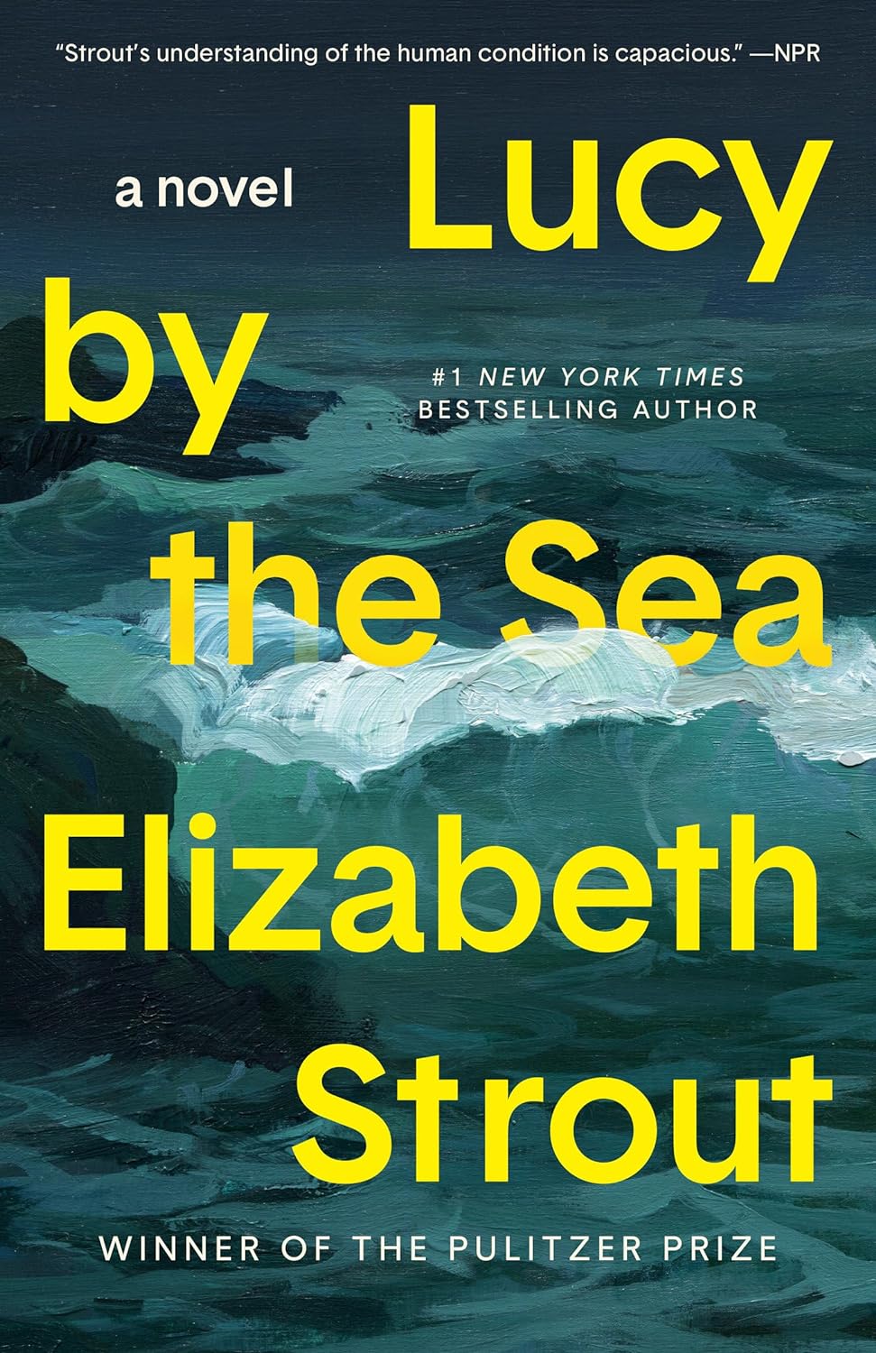 Lucy By The Sea - Elizabeth Strout