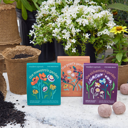 Bespoke Blooms: The Maestro's Garden