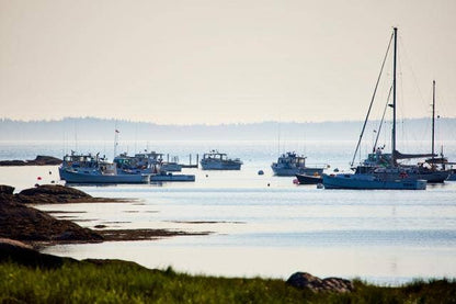 A Kitchen on Goose Cove: Recipes from the Heart of Maine - Devin Finigan