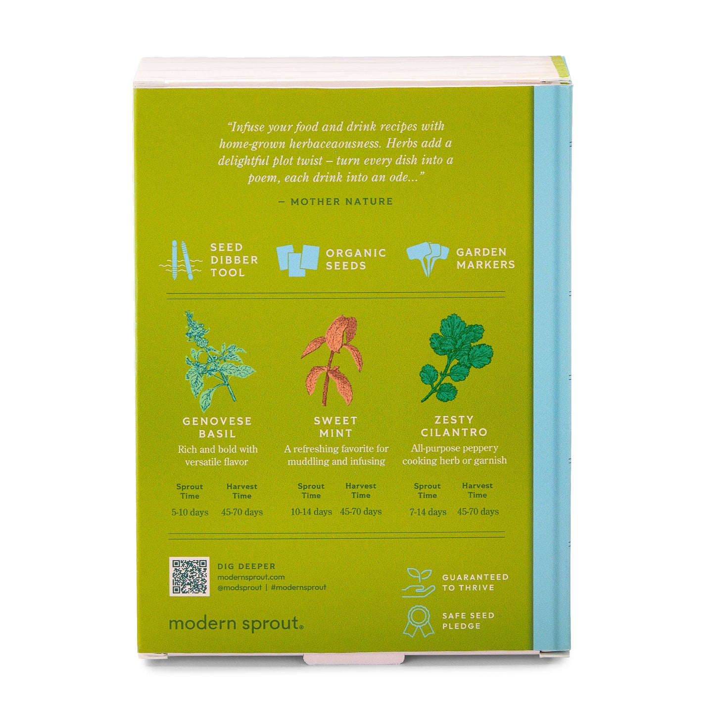 Seed Library: Culinary Herbs