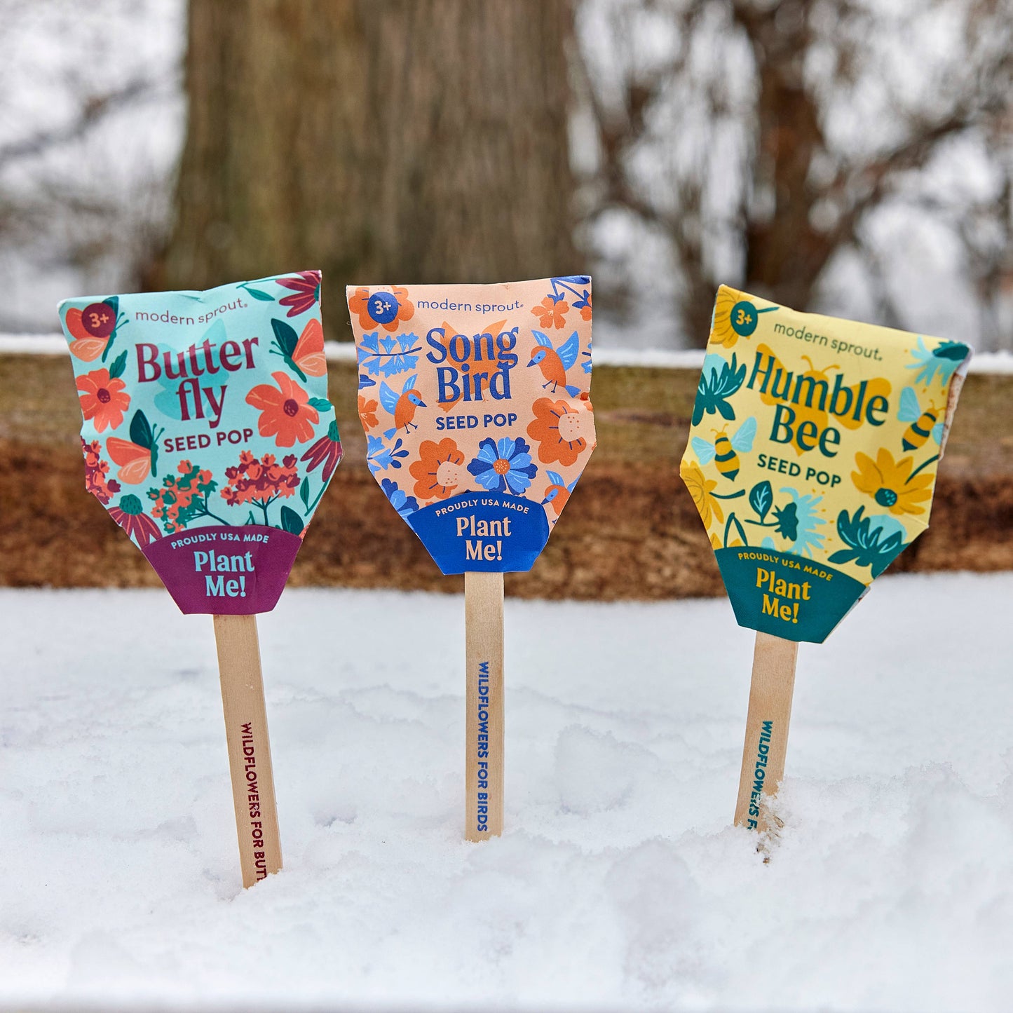 Pollinator Seed Pop (Single): Humble Bee
