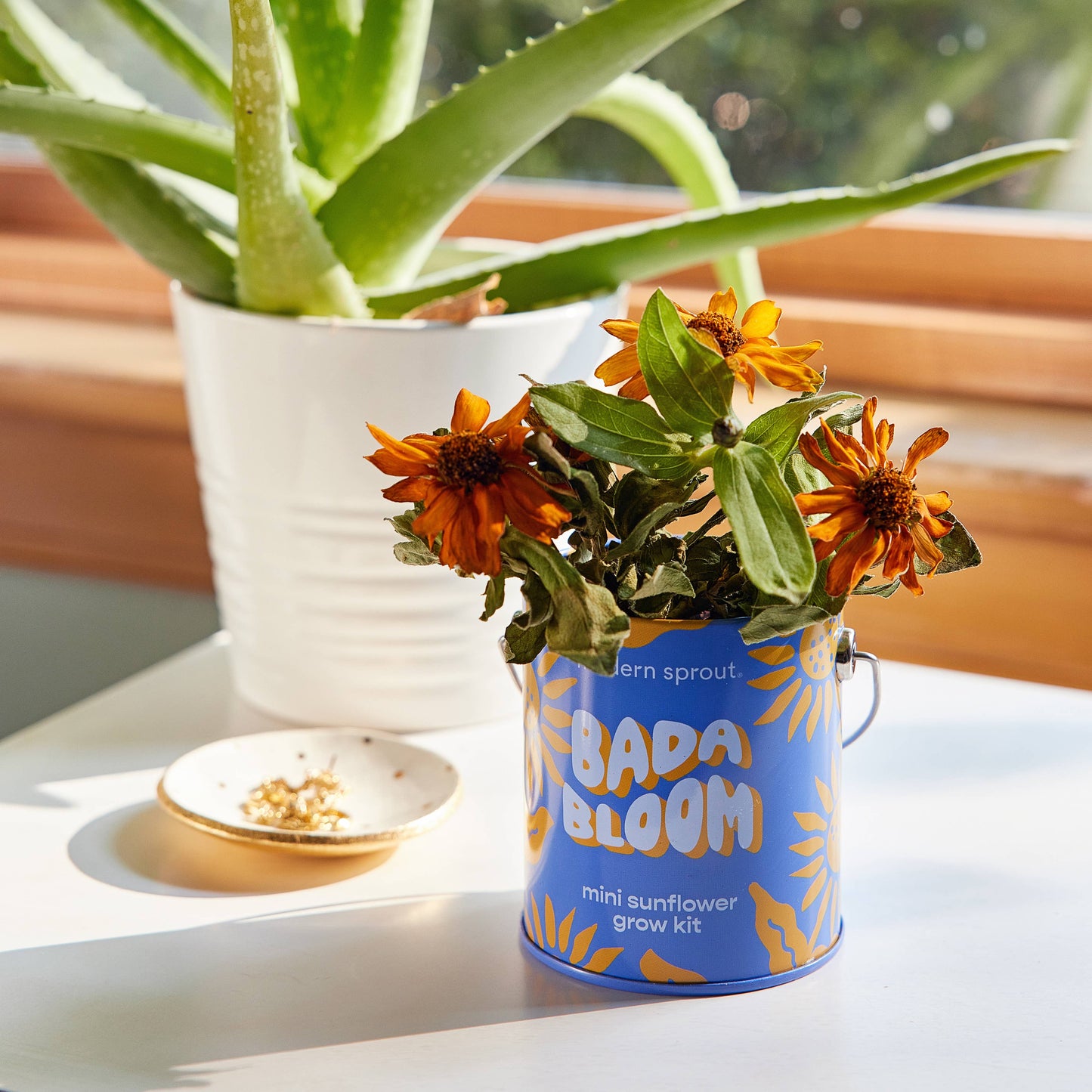 Modern Sprout Grow Kits: Awesome Sauce