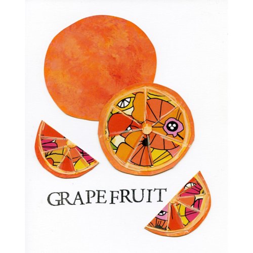 Ariel Kessler - Grapefruit 8x10 print