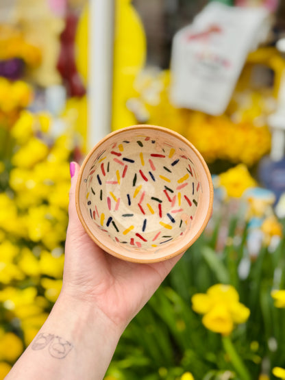 Handmade Sprinkle Ice Cream Bowl - East Transit Pottery
