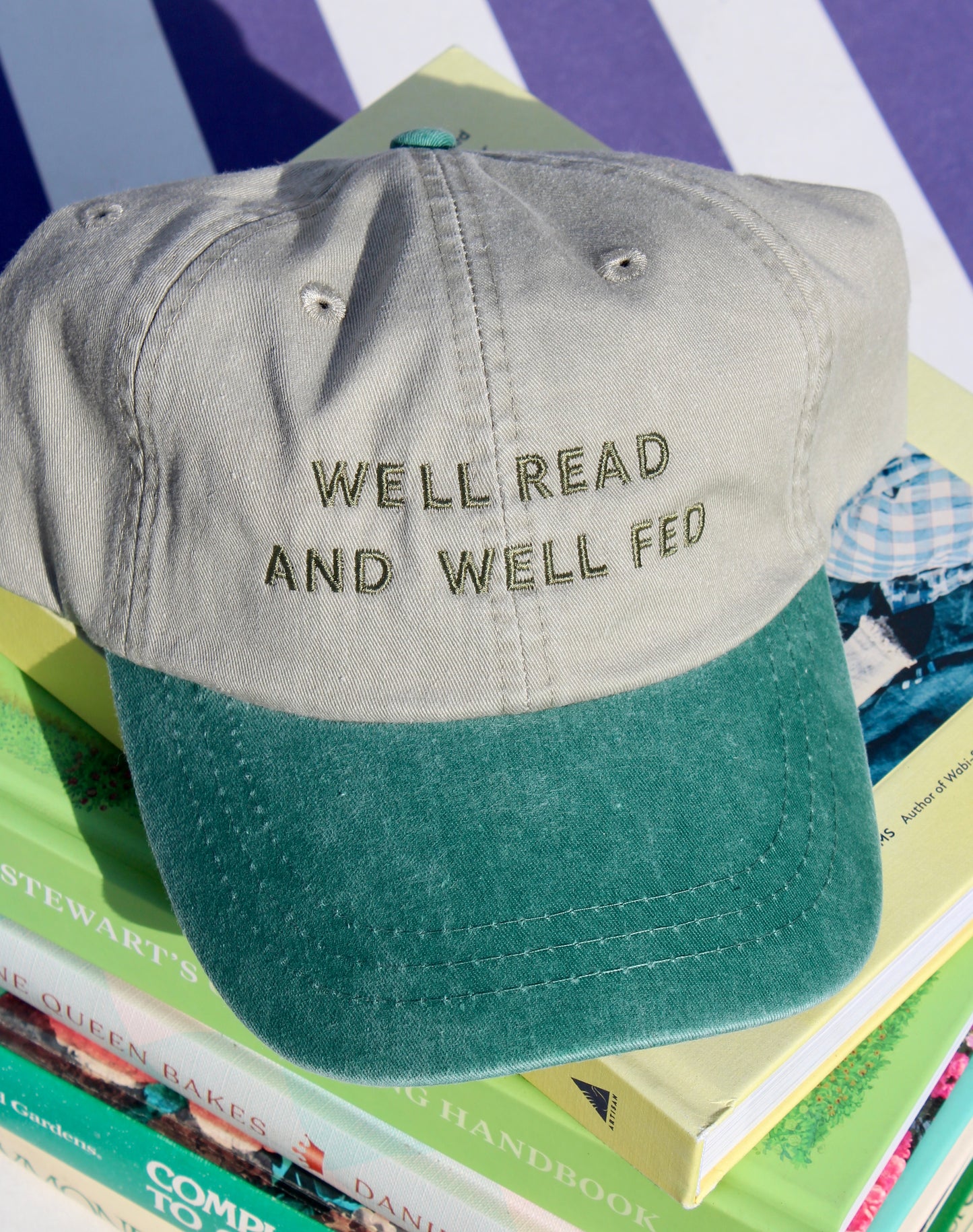 Well Read and Well Fed Baseball Hat