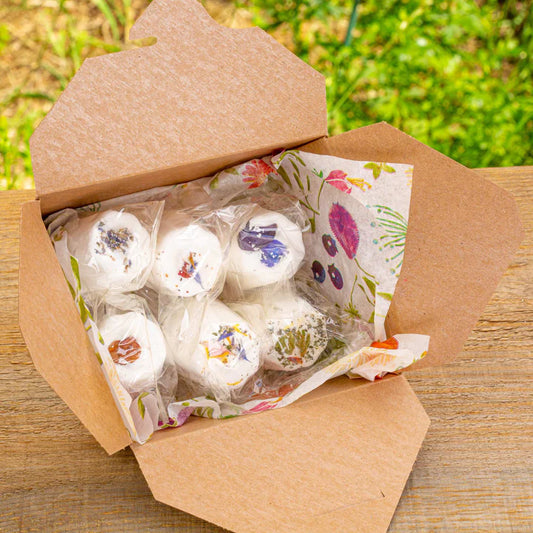 Shower Steamer Sample Box - Dulse & Rugosa