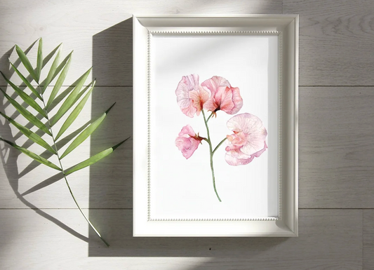 StudioReta - Sweet Pea Print