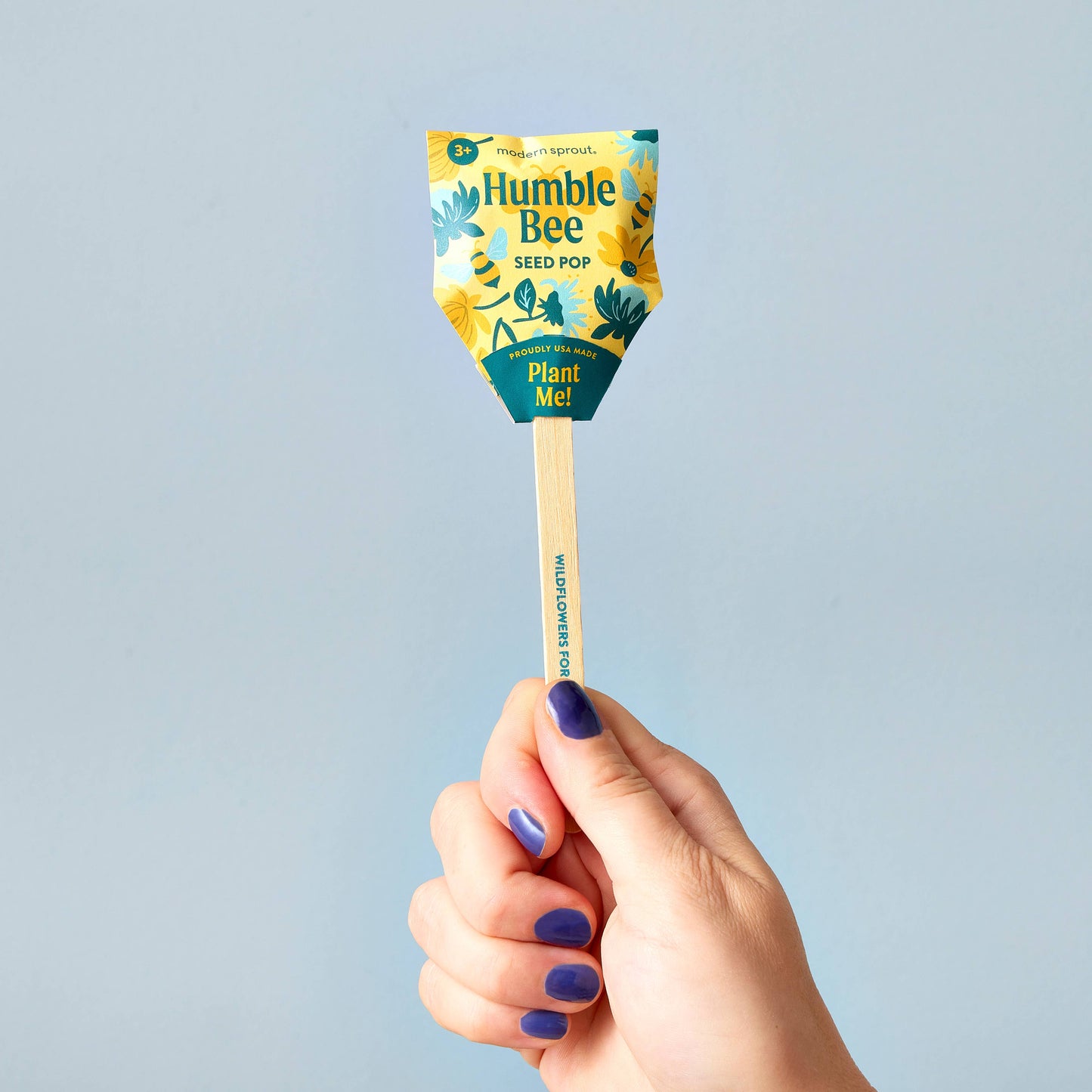 Pollinator Seed Pop (Single): Humble Bee