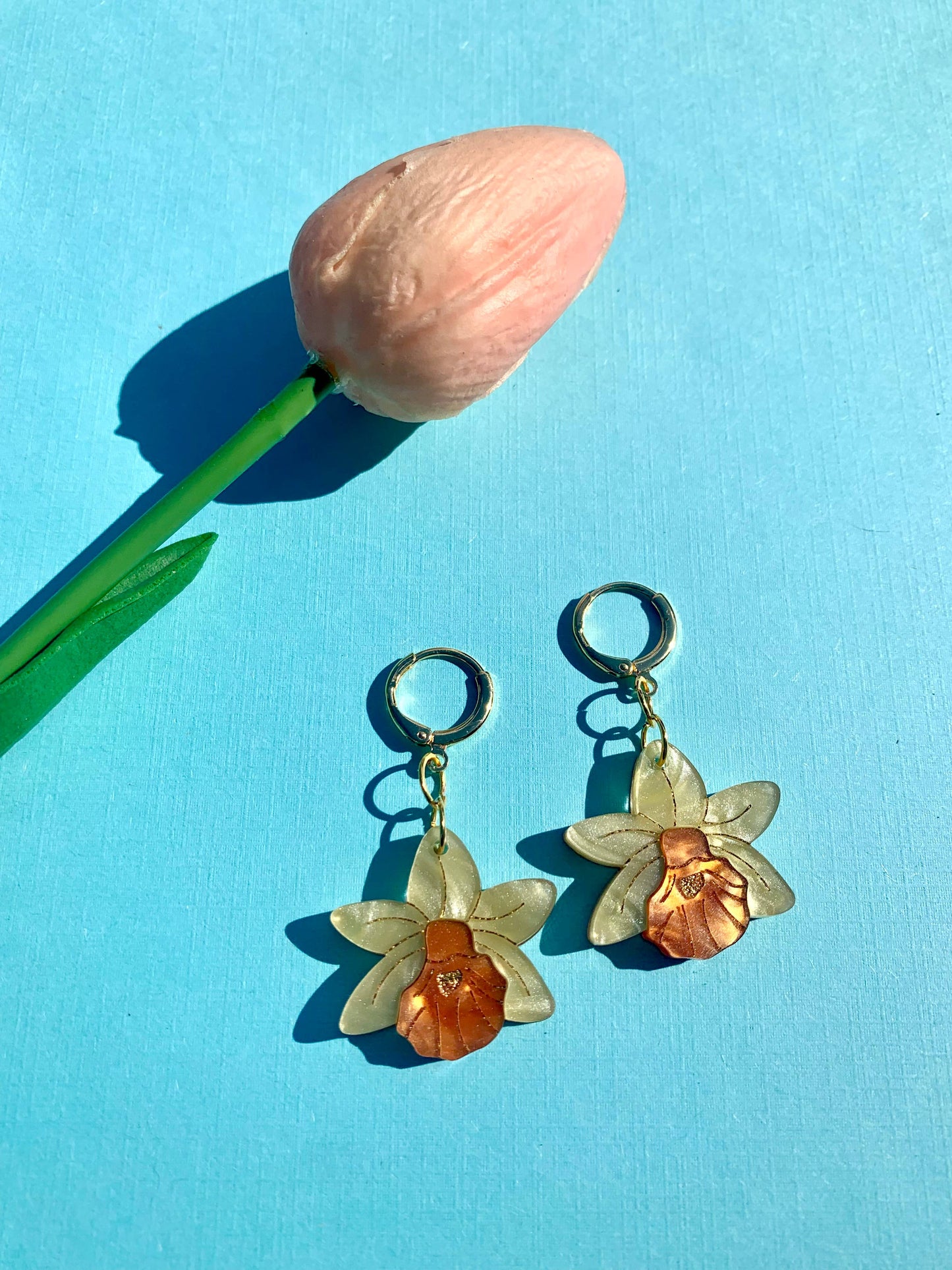 Mini Daffodils - Not Picasso