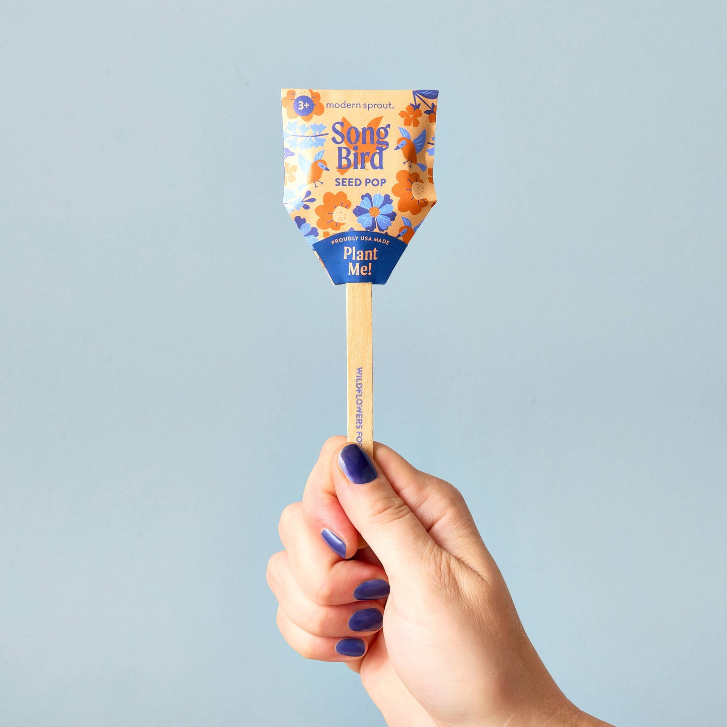 Pollinator Seed Pop (Single): Humble Bee