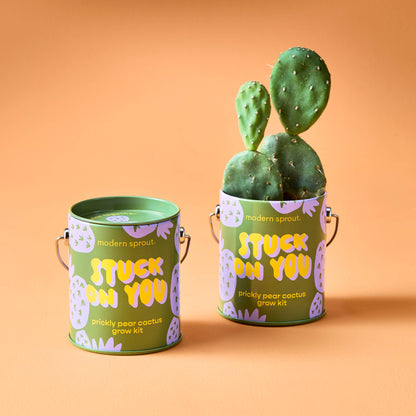 Modern Sprout Grow Kits: Awesome Sauce