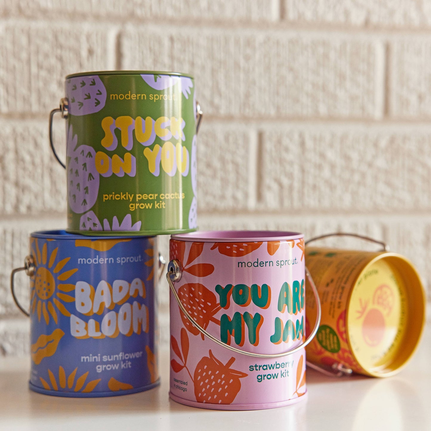 Modern Sprout Grow Kits: Awesome Sauce