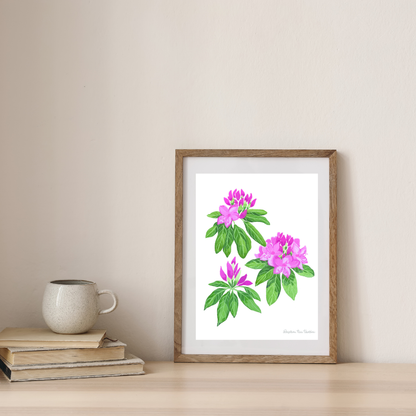 Rhododendron Botanical Art Print