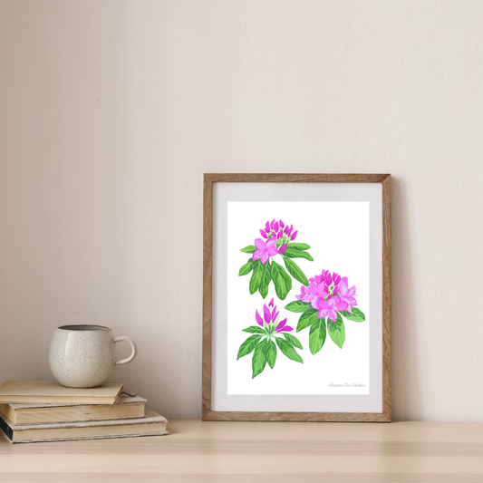 Rhododendron Botanical Art Print