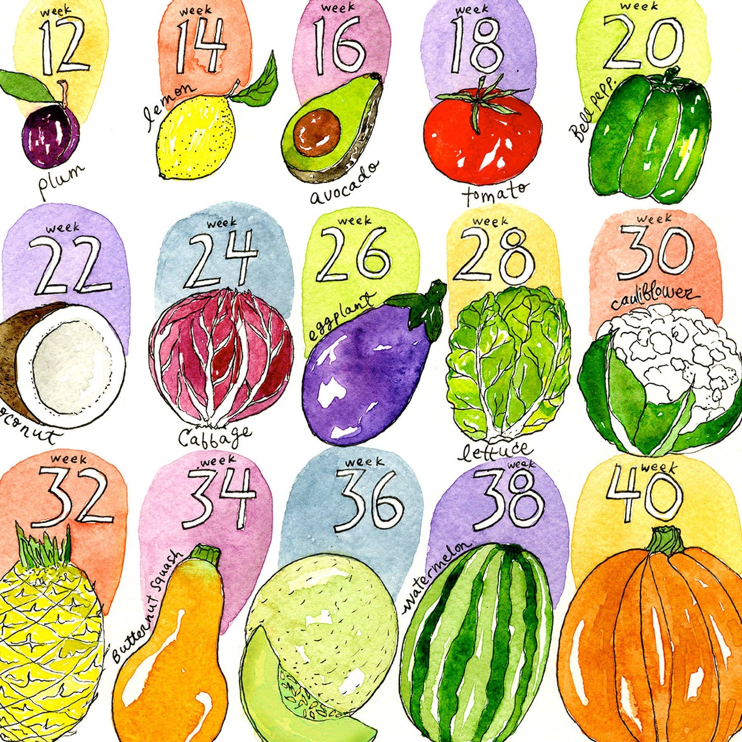 Marcella Kriebel Art & Illustration - How Big Is Baby? Greeting Card