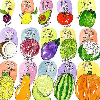 Marcella Kriebel Art & Illustration - How Big Is Baby? Greeting Card