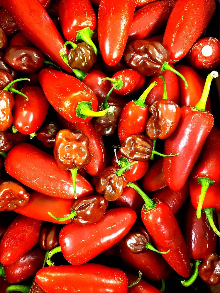 Rhed’s Original Hot Sauce: 5oz