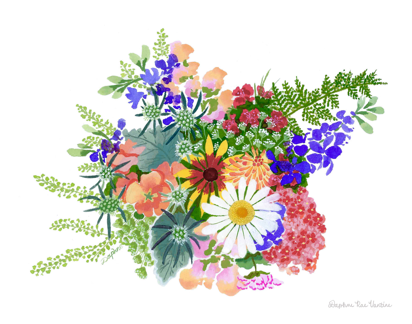 White Daisy Bouquet Botanical Art Print