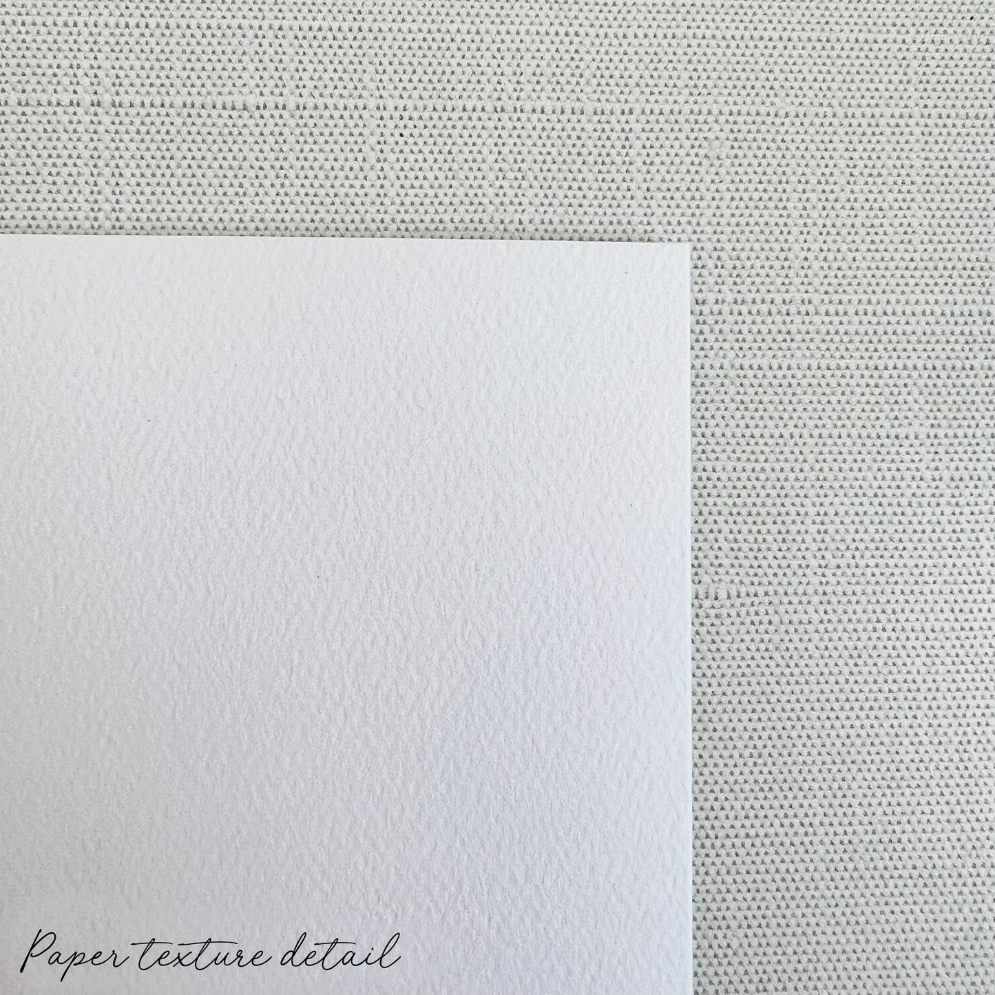 Gert & Co - Coastal Christmas Card