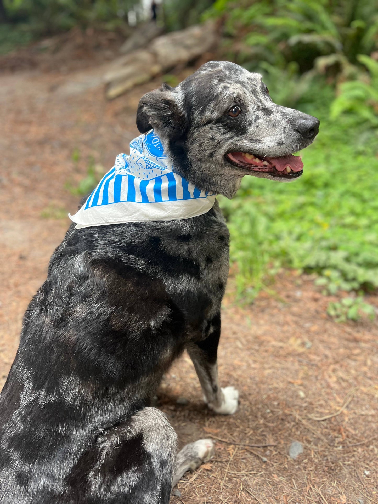 Summer Picnic Bandana- Pen+Pine