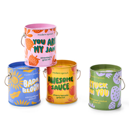 Modern Sprout Grow Kits: Awesome Sauce
