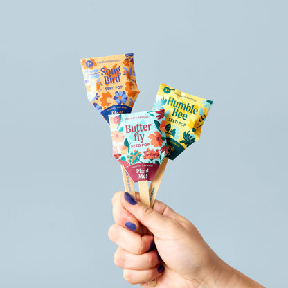 Pollinator Seed Pop (Single): Humble Bee