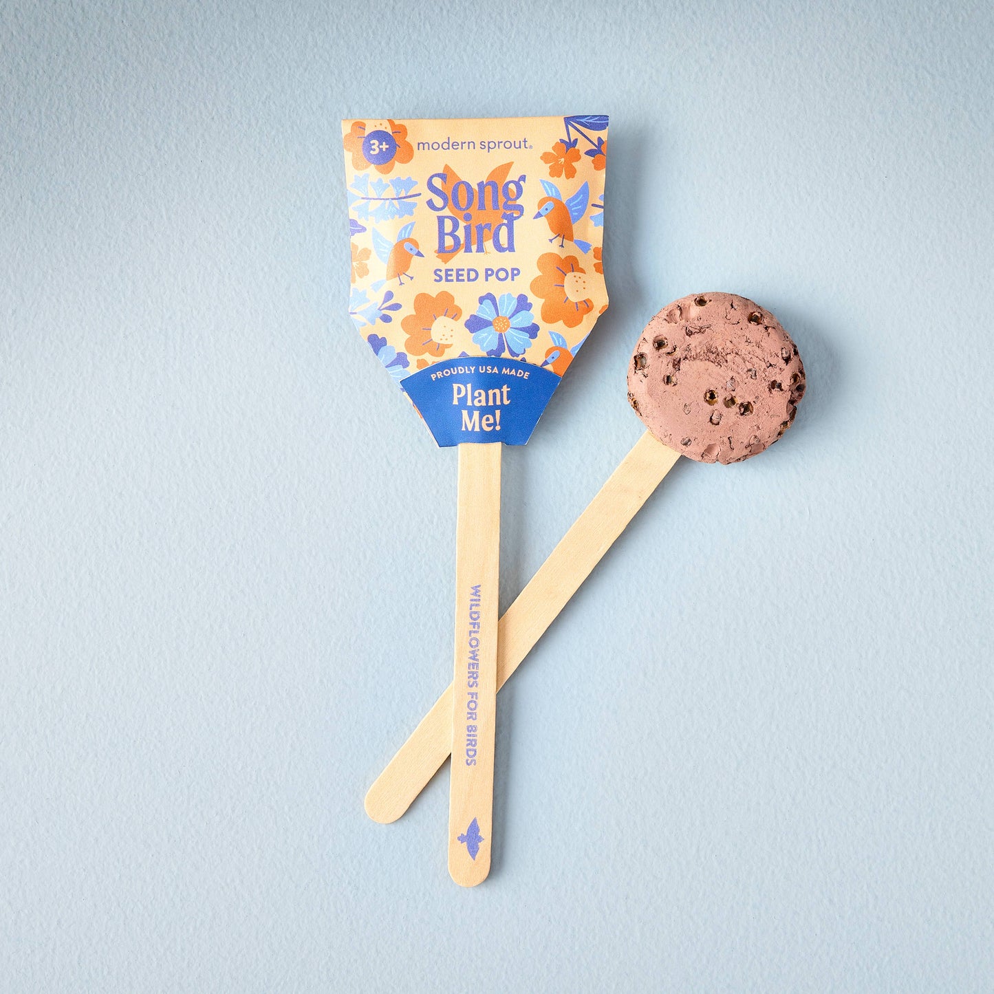 Pollinator Seed Pop (Single): Humble Bee