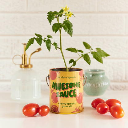 Modern Sprout Grow Kits: Awesome Sauce