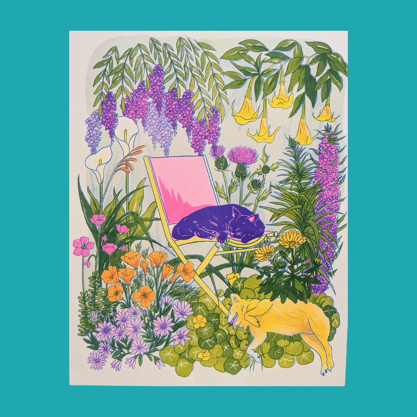 California Wildflowers + Friends print | Christina Hu