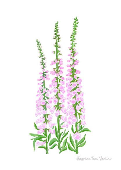 Foxglove Botanical Art Print
