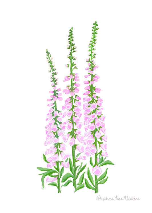 Foxglove Botanical Art Print