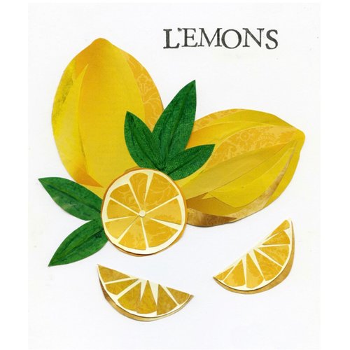 Ariel Kessler - Lemons 8x10 print